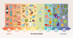 Some researchers have claimed in the past that acidic foods are harmful to health. How Acidic Foods Cause Chronic Disease And Why You Should Start Eating Alkaline Live Love Fruit