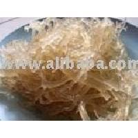 Global sea bird nest importers and buyers. Seaweed Sea Bird Nest Products Malaysia Seaweed Sea Bird Nest Supplier