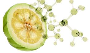 Es ist ein immergrüner baum, der in indien und sri lanka beheimatet ist. 5 Beneficios De La Garcinia Cambogia Para Adelgazar Sientete Guapa