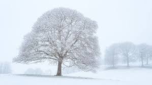 When you experience this feeling, in english, you may say umm or uhhh or another filler word. Meteo 10 Departements Du Nord Est En Vigilance Orange Neige Et Verglas L Express