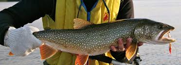 Lake Trout Fishing In Northern Ontario Canada
