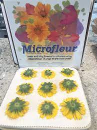 Place the mixture in a small bowl and microwave it for five minutes. Drying Flowers In Microwave With Bricks How To Do Thing