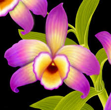 Vor allem dein schlafzimmer sollte in einem umfeld. Orchideen Im Schlafzimmer Schadlich Oder Nicht