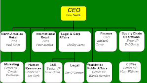 20 scientific starbucks organizational structure chart