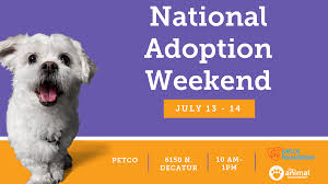 Maybe you would like to learn more about one of these? Petco Adoption Online Shopping