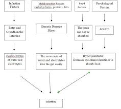 Pathophysiology Of Dysentery