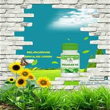 Pegagan Pegaganhs Pegaganhpai Melancarkansirkulasidarah Kecerdasanotak Selulit Hniprodukhalal Hnihpai Hnihpaisemarang Hpaisem Semarang Herbal Kolagen