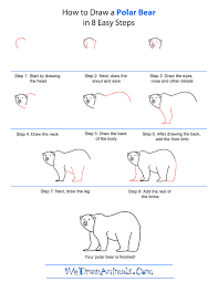 Polar Animal Directed Draw Google Search Polar Animals Directed Drawing Step By Step Drawing