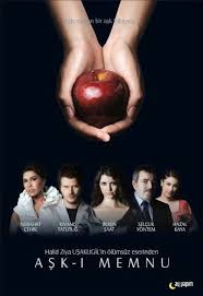 Amor Prohibido Love Tv Series Drama Tv Series Forbidden Love