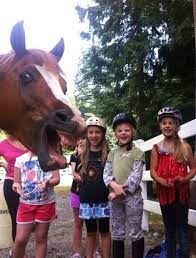 Top 15 Funny Famous Animal Photobombs On The Internet