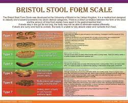 Stools Poster Featuring The Digital Art Bristol Stool Form Scale By Galina Imrie Bristol Stool Bristol Stool Chart 30 Days To Healthy Living
