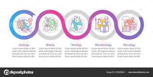 biology branches vector infographic template zoology botany