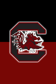Pin On South Carolina Gamecocks