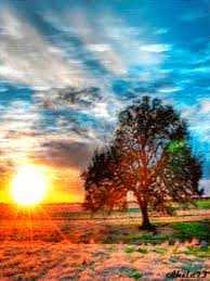 Best free nature gifs for different moods and situations. 30 Beautiful Nature Animated Gifs At Best Animations