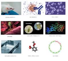 Maybe you would like to learn more about one of these? Policies For Sharing Research Tools And Biomaterials Orsp
