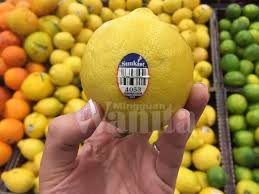 Jangan lupa video penyediaannya di azie kitchen youtube channel di sini. Rahsia Kuih Goyang Tak Melekat Acuan Rendam Semalaman Biarkan Acuan Panas Mingguan Wanita