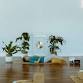 Guided Meditation Class