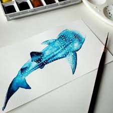 Silhouette whale shark, silhouette, mammal, animals, cat like mammal png. 19 Whaleshark Ideas Whale Shark Whale Art