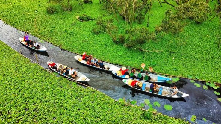 Rừng Tràm Trà Sư An Giang - Thiên Đường Xanh Miền Tây