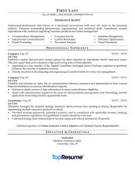 Insurance agency business plan template. Insurance Agent Resume Sample Professional Resume Examples Topresume