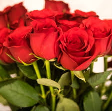It's that time of the year again when flowers will. Bloom Wild Ban Red Roses For Valentine S Day 2021