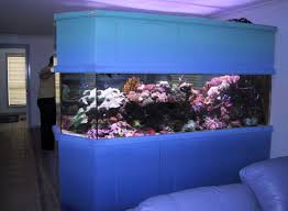 Buy arowana, red arowana, gold arowana, arowana supplier, export arowana fish, arowana fish farm, asian arowana pet, aquarium fish, malaysia fresh and marine fish aquarium store. Malaysia Planted Aquarium Fish Tank Topmasteraquarium S Weblog Www Topaquarium Com