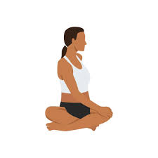 Seated Spinal Twists Yoga