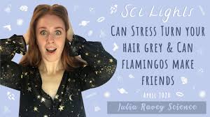 Your psychological state has a significant impact on the hormones that can affect the amount of melanin deposited in each strand of hair, but the effect of emotion takes a long time to see. Can Stress Turn Your Hair Grey Can Flamingos Make Friends Scilights Youtube