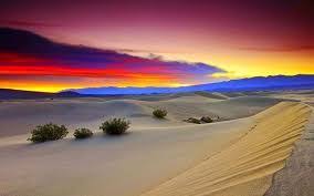 تحميل خلفيات رمال متحركة للكمبيوتر بحث Google Outdoor Wallpaper Water