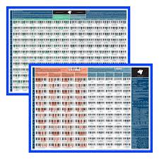 The Really Useful Piano Chord Bundle - Piano Poster & Chord Progression  Poste... | eBay