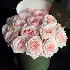 We did not find results for: Julia Flowers Home Facebook