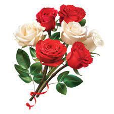 Rose Clipart Flower Clipart Rose Flower Red Rose White Rose Flower Red Clipart White Clipart Mulher Flower Vector Rose V Rose Flower Png Rose Flower Flower Png