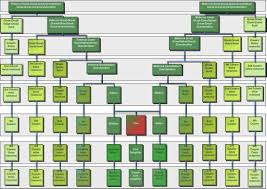 a chart to show relationships in family genealogy