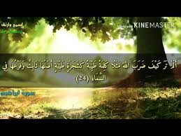 حالات واتسآب قرآنية الكلمة الطيبة آية 24 من سورة ابراهيم Youtube