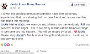 We did not find results for: Indiana Volunteer Seen Trying To Help Dog Before She Died Daily Mail Online