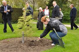 Image result for memorial ceremony