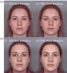 Example stimuli used in the studies. (a) Femininity lowered (i) and...