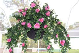 We did not find results for: Diy Hanging Basket With Artificial Azaleas