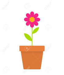 Check spelling or type a new query. Pink Spring Daisy Flower In A Pot Vector Illustration Royalty Free Cliparts Vectors And Stock Illustration Image 119084262