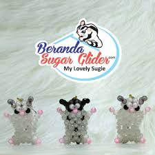 Toko Online Beranda Sugar Glider Shopee Indonesia