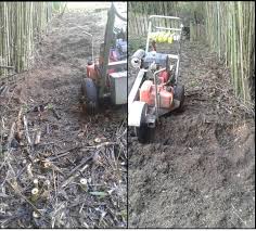 Check spelling or type a new query. How To Get Rid Of Bamboo