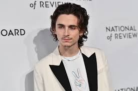 I am not associated with timothée or his management. Timothee Chalamet Sports Fan S Handmade Shirt On The Red Carpet