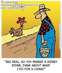 I have pictures of the gallstones that were removed, looked like hundreds of black dots in the cup they sent to the lab. Big Deal So You Passed A Kidney Stone Think About What I Do For A Living Chicken Humor Chicken Jokes Funny Cartoons