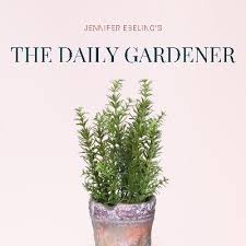 It's ideal for raised beds, large container gardens, trees and shrubs. The Daily Gardener