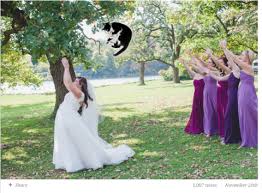 Acconciature capelli, itala (italia) (itala, italy). Brides Throwings Cats Il Tumblr Con Le Spose Che Lanciano Gatti Invece Del Bouquet