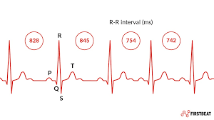 What Is Heart Rate Variability Hrv Why Does It Matter