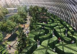 Experience Wonder At Jewel Changi Airport Jewel Changi Airport In 2021 Changi Airport Singapore Changi Singapore Changi Airport