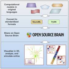 Open Source Brain A Collaborative Resource For Visualizing