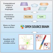 open source brain a collaborative resource for visualizing