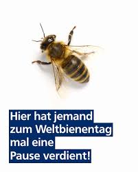 This website has a #1,278,440 rank in global traffic. Vr Bank Lichtenfels Ebern Home Facebook